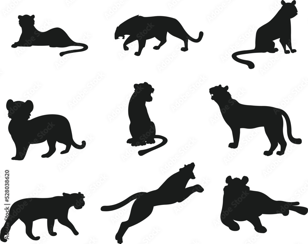 Set of Tiger flat isolated vector Silhouettes