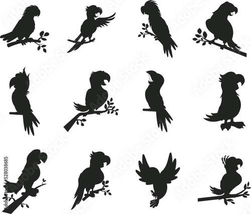 Collections of Parrot flat isolated vector Silhouettes