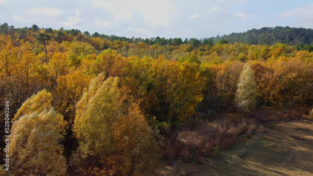 Wooded hills around the lake of Saint-Cassien in septembre in France seen from the sky Wooded hills around the lake of Saint-Cassien in septembre in France seen from the sky
