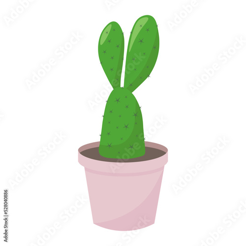 cactus in a pot