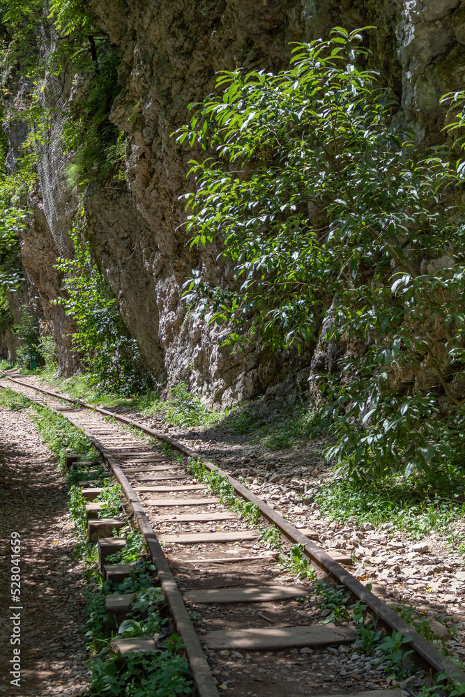 railway into the gorge