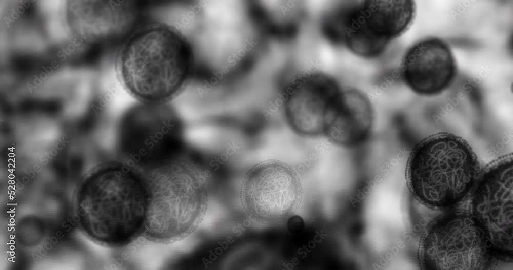 Microscope bacteria, virus molecules and healthcare research for science, medicine vaccine and cell particles. Physics DNA abstract, medical biology study and chemistry genetics of digital anatomy Microscope bacteria, virus molecules and healthcare research for science, medicine vaccine and cell particles. Physics DNA abstract, medical biology study and chemistry genetics of digital anatomy