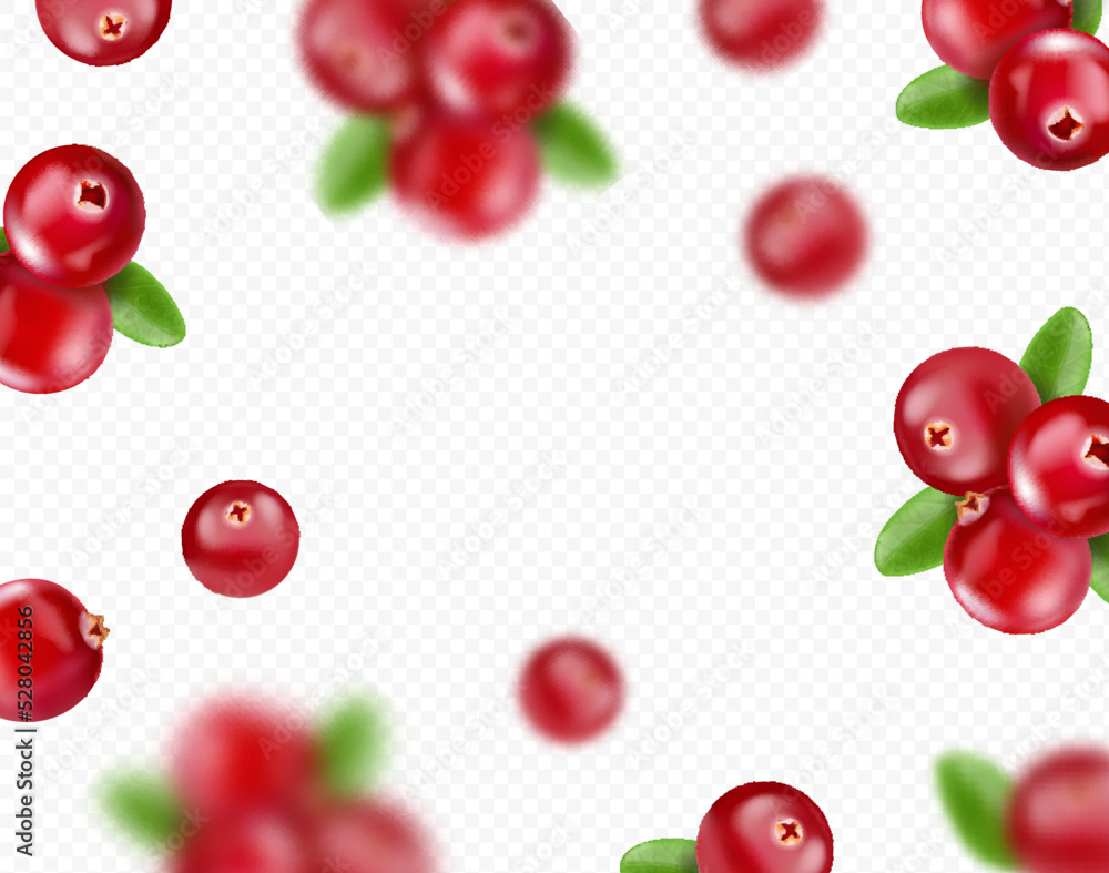 Falling cranberry, berries in the air background. Falling cranberry, berries in the air background.