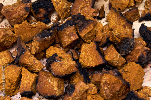 Closeup of dried and cut orange and black medicinal chaga mushroom from birch tree, used in alternative medicine. photo