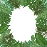 Template for a postcard.posters of picturesque tropical leaves in a frame on a white background.Vector illustration.