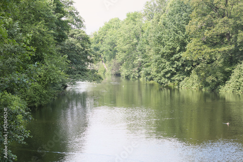 calm and slow river flowing through the forest. lush green trees growing on banks. scenic place for rest and relax.