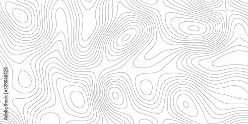 Topographic contour map. Vector cartography illustration. Topography and geography map grid abstract backdrop. Business concept. Fish Fillet Texture, Salmon fillet texture, fish pattern. paper texture