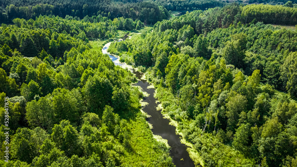 Small river on green swamps. Aerial view of nature Small river on green swamps. Aerial view of nature