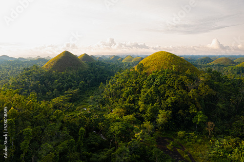 Aerial shot of Bohol chocolate hills photo