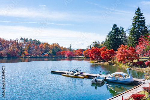 【長野県】蓼科湖の紅葉 photo