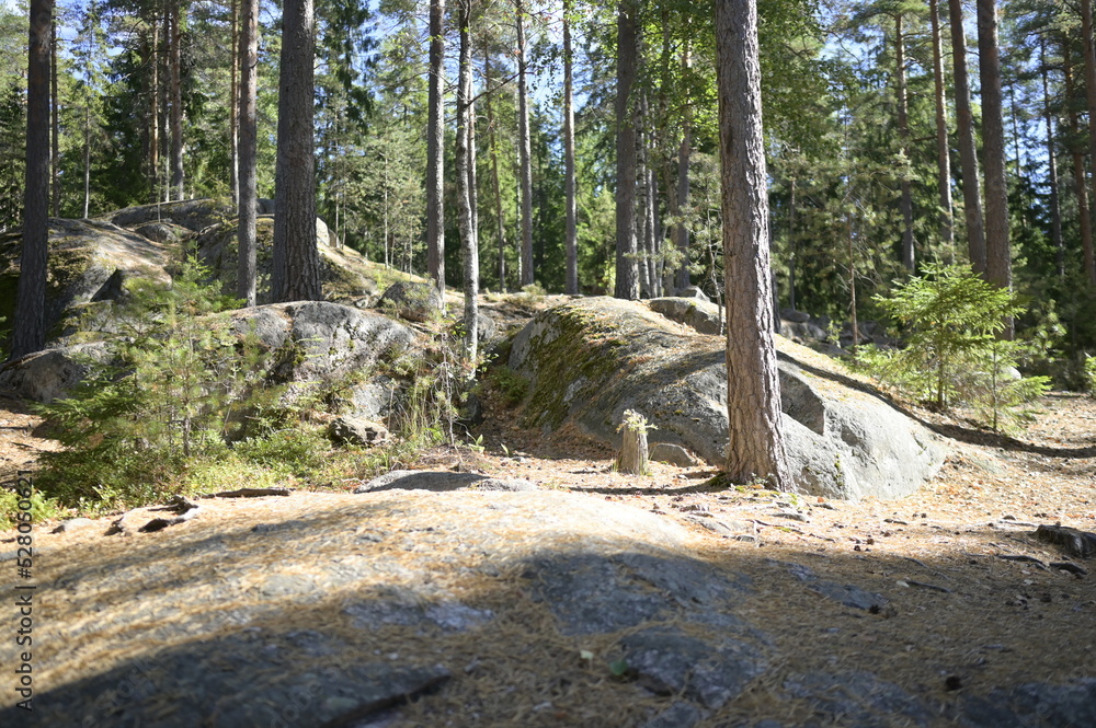 National Park in Finland Nuuksio -a journey in the greenery landscape of photos. Trees, forest, vegetation, lakes, ecoclimate, ecosystem National Park in Finland Nuuksio -a journey in the greenery landscape of photos. Trees, forest, vegetation, lakes, ecoclimate, ecosystem