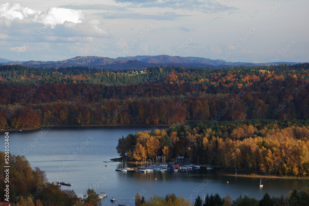 Fototapeta premium Polanczyk