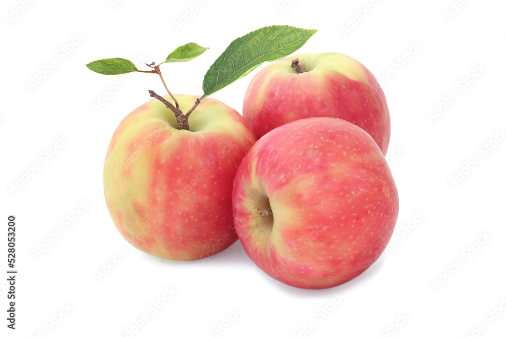 Three apples with leaves isolated on white Three apples with leaves isolated on white