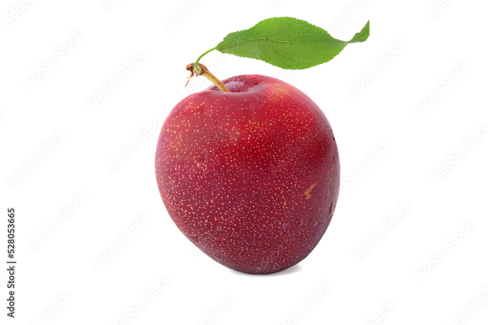 Plum with leaf isolated on a white Plum with leaf isolated on a white