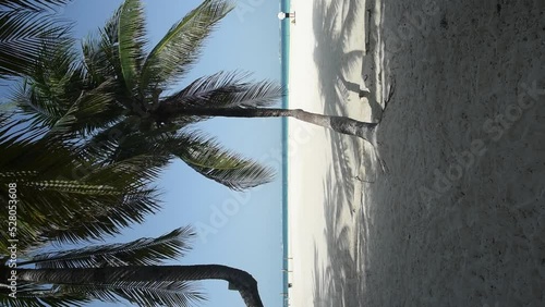 Background of a deserted Caribbean beach with a coconut palm swaying in the wind. Travel and vacation concept photo