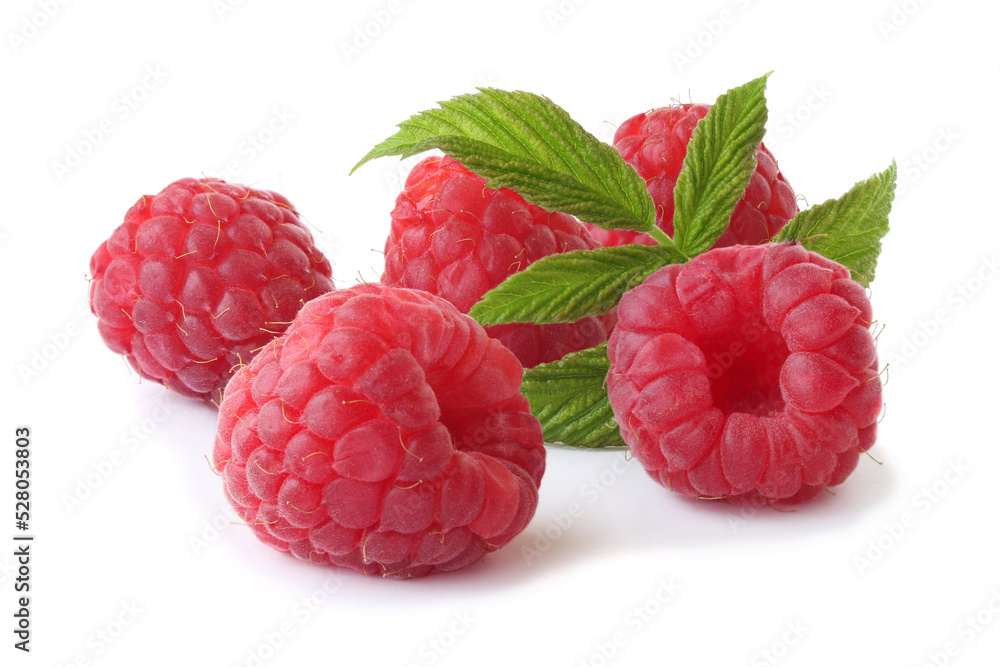 Tasty raspberries with a sprig isolated on white Tasty raspberries with a sprig isolated on white