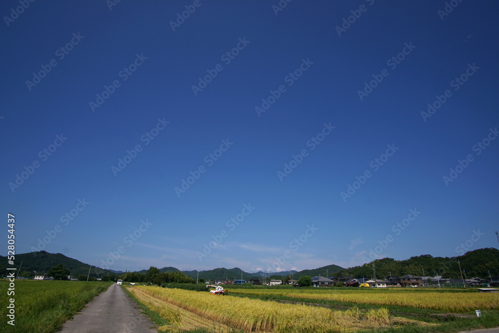 Obraz premium イネ刈り始まる 丹波篠山市 田園風景 8月下旬