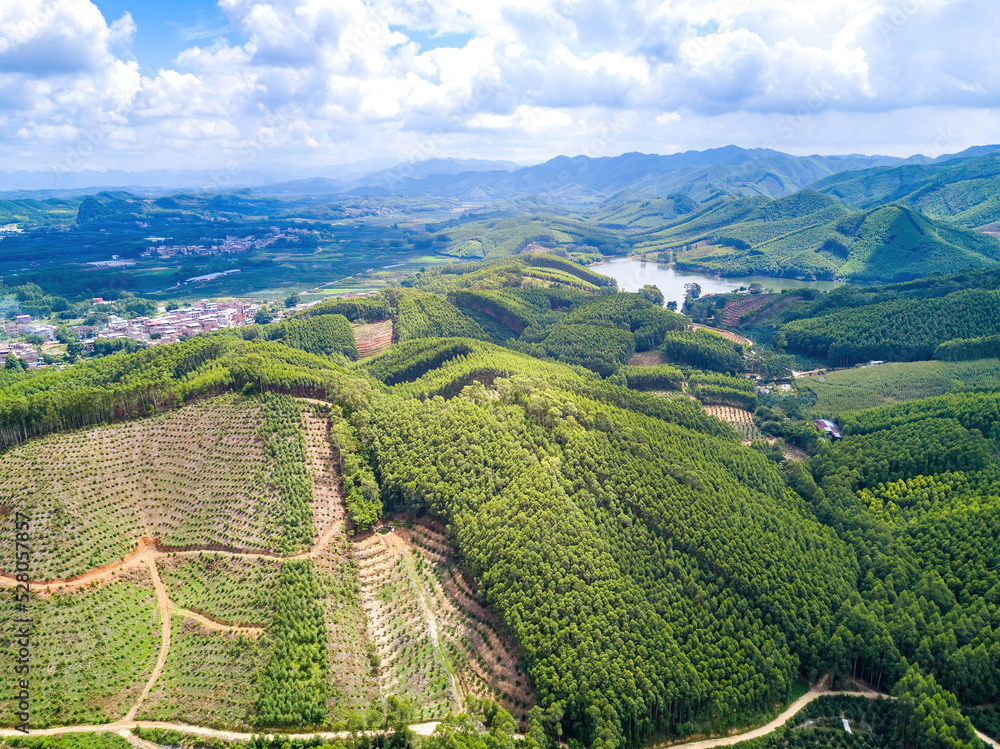 Landscape of green hills forest and blue sky and white clouds on the outskirts of Guangxi, China