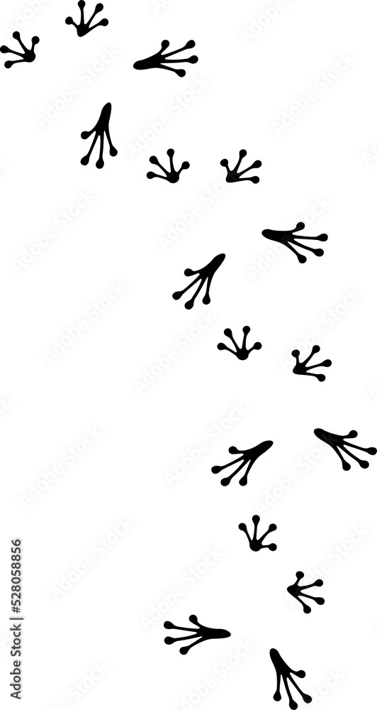 Frog footprints black and white. Png illustration. 