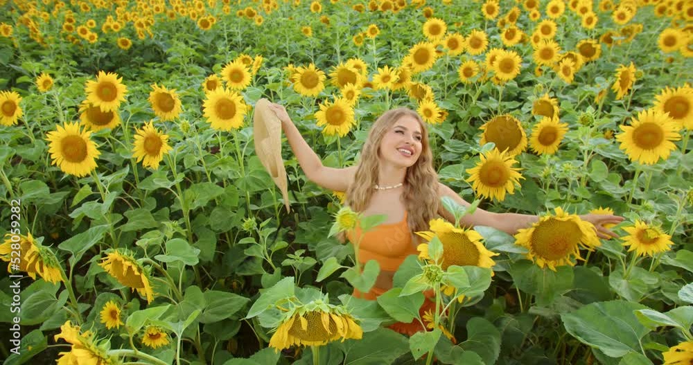 A beautiful girl smiles and poses for a photo shoot in sunflowers A beautiful girl smiles and poses for a photo shoot in sunflowers