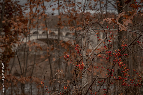 Wallpaper Mural  Abandoned Delaware River Viaduct  Torontodigital.ca