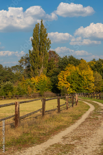The dirt road around the horse corral is lined with trees.