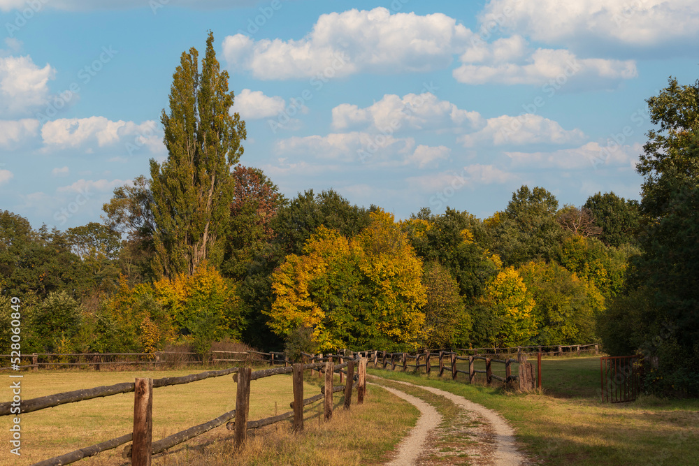 Naklejka premium The dirt road around the horse corral is lined with trees.