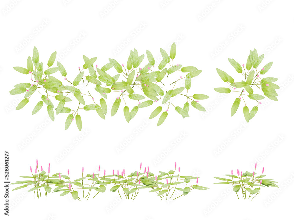 3d Render Brush Tree Isolated on white 3d Render Brush Tree Isolated on white