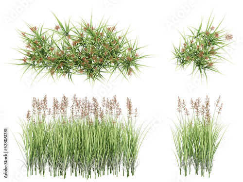 3d Render Brush Tree Isolated  on white