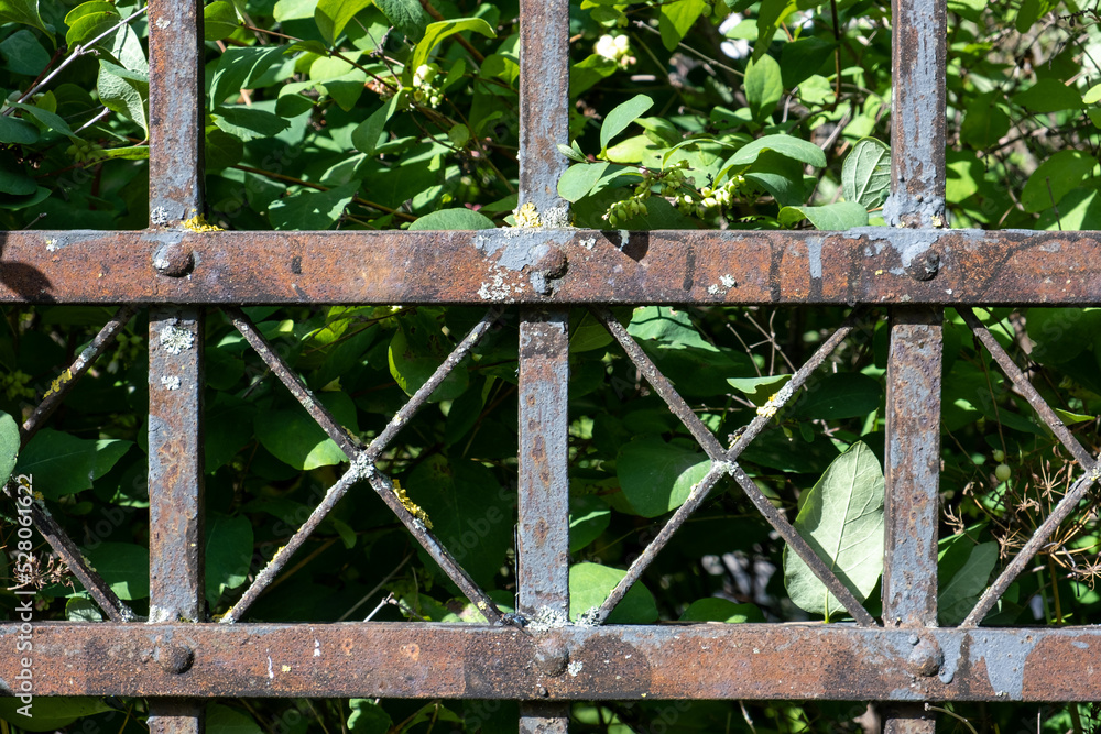 Old metal garden fence
