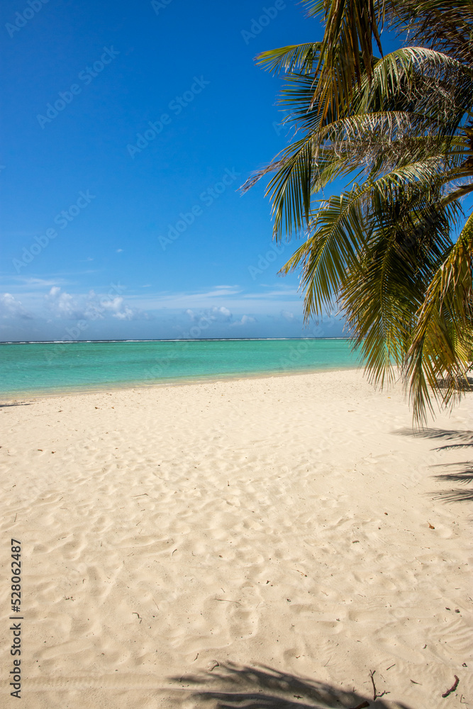 Maldives: turquoise lagoon sea with palm tree, beautiful sandy beach and blue sky, Ari Atoll