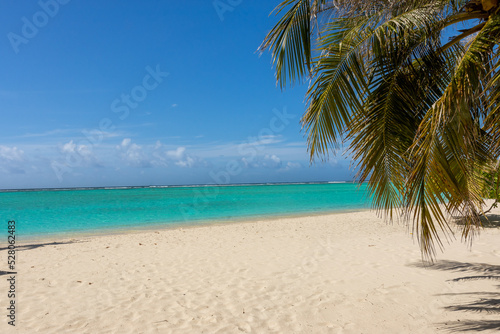 Maldives  turquoise lagoon sea with palm tree  beautiful sandy beach and blue sky  Ari Atoll