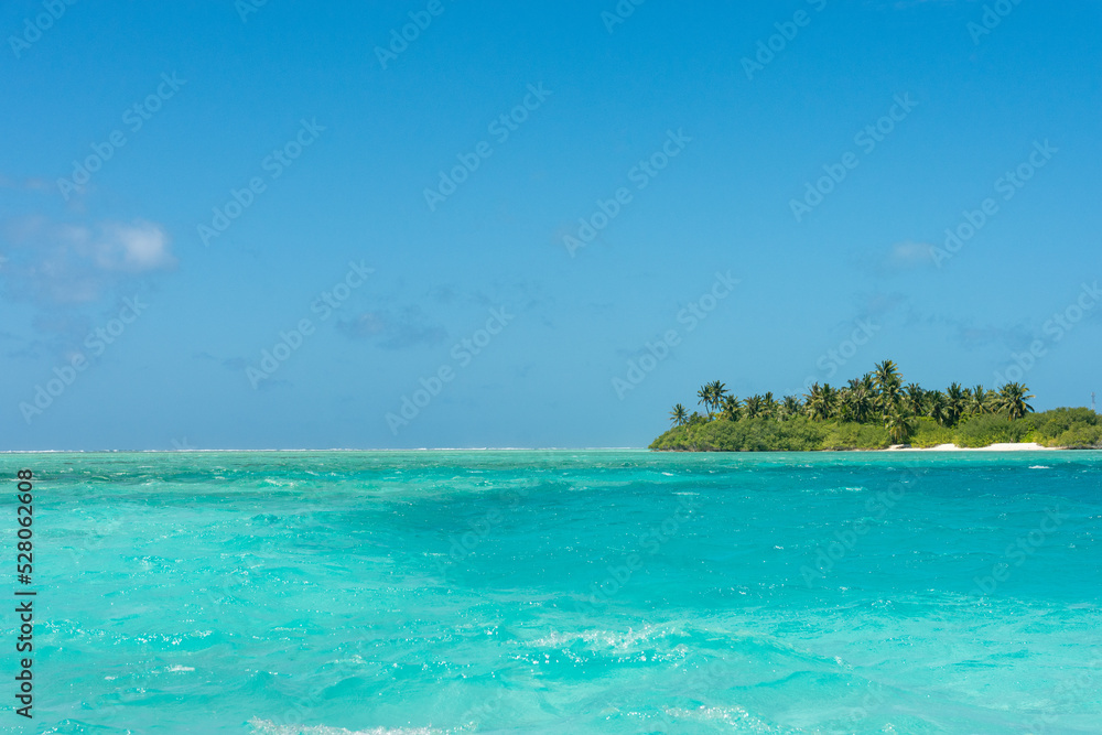 Maldives: Desert island with palms, turquoise sea and blue sky on Ari Atol