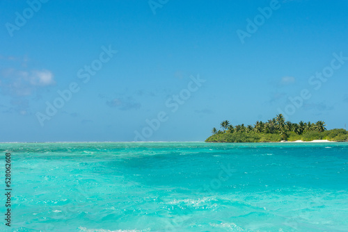 Fototapeta Naklejka Na Ścianę i Meble -  Maldives: Desert island with palms, turquoise sea and blue sky on Ari Atol