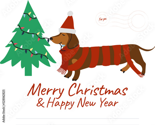 Christmas and New Year greeting postcard with holiday dachshund, Christmas card with cute dachshund in Santa hat and knitted scarf Holiday background with hand drawn cartoon character, lights, garland