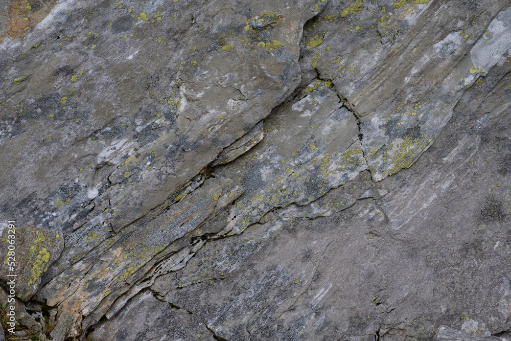 Natural rock, abstract, organic, background, texture