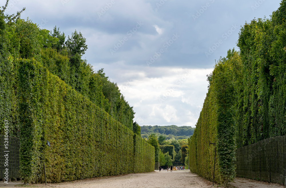 Beautiful gardens of the Palace of Versailles with trimmed trees and shrubs, landscape art of France.