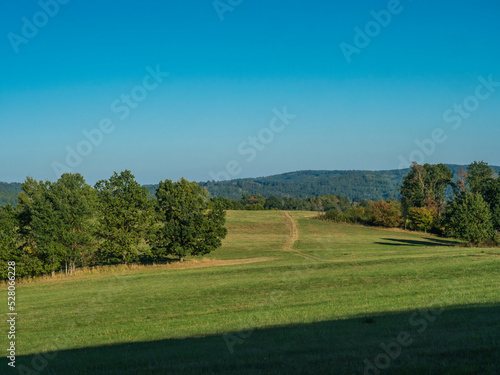 Late summer green meadow with tree and forest and clear blue sky, natural background