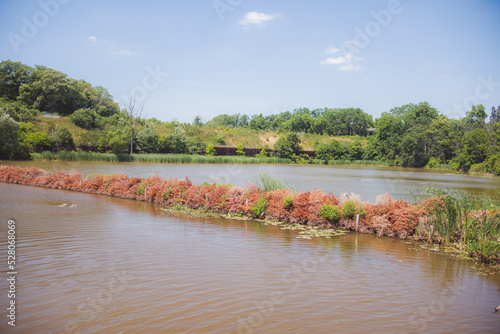 lake in the park