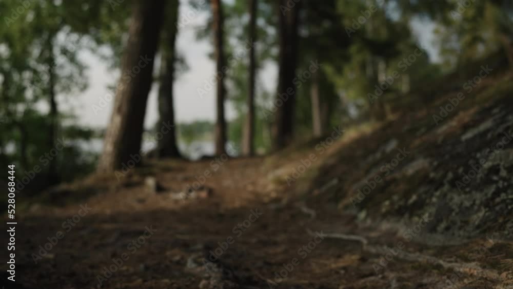 Slow motion forest path gimbal shot Slow motion forest path gimbal shot