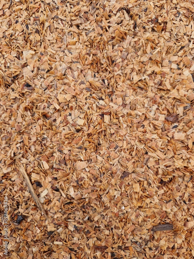 Wood pattern Wood pattern