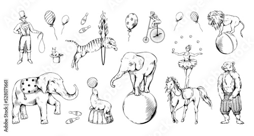 Vintage circus animal set. Bear on bike  sketch elephant and tiger  cute monkey on bicycle hand drawing. Acrobat and juggler. Engraving style decorative objects  vector isolated illustration