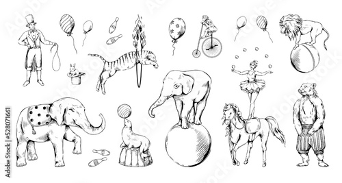Vintage circus animal set. Bear on bike, sketch elephant and tiger, cute monkey on bicycle hand drawing. Acrobat and juggler. Engraving style decorative objects, vector isolated illustration