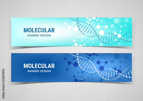 Biology science. DNA chain. Horizontal banners set. Molecular structure. Biotechnology experiment. Laboratory research. Medicine and pharmacy. Flyers design. Vector pattern illustration