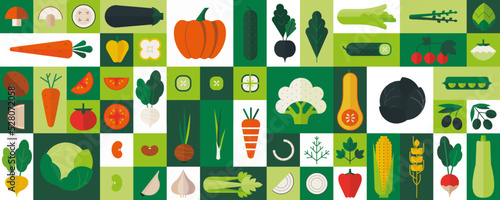 Abstract geometric farmer food. Cabbage, tomato and onion salad, green broccoli, cucumber and eggplant. Pumpkin and carrot. Garden harvest. Vegetarian organic background vector illustration icons