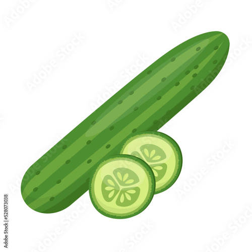 cucumber with slices flat vector illustration clipart isolated on white background