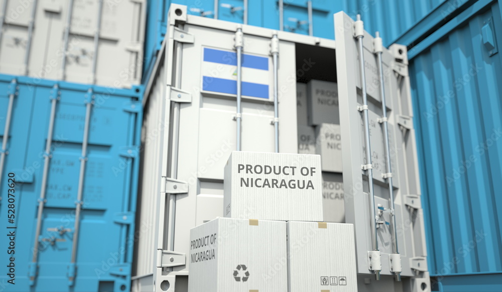 Cardboard boxes with goods from Nicaragua and cargo containers. Industry and logistics related conceptual 3D rendering