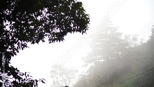 rolling fog clouds in gron tof tree silhouette showing the hill stations in India like Nainital, bhimtal, shimla, darjeeling and more with the serene peaceful weather and cool temperature photo