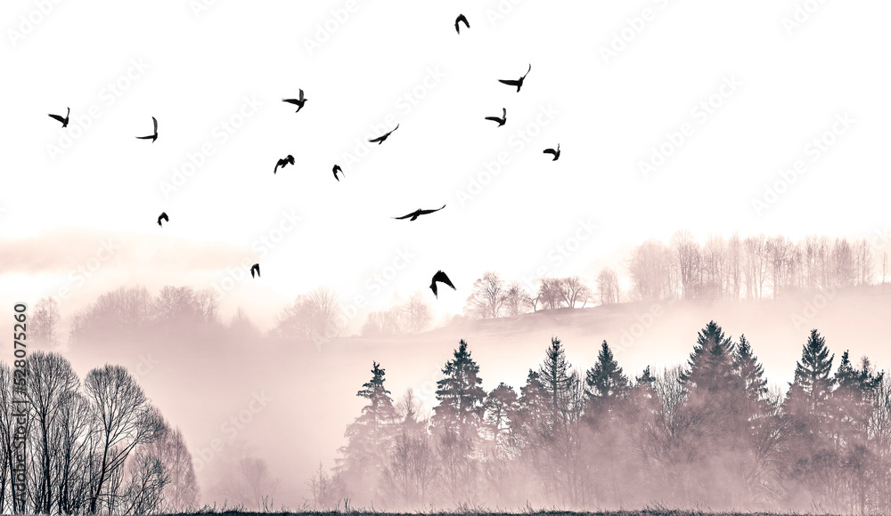 Fototapeta premium autumnal picture - fogy forest and flying birds