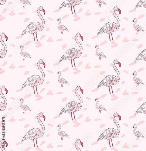 Flamingo hand drawn pattern